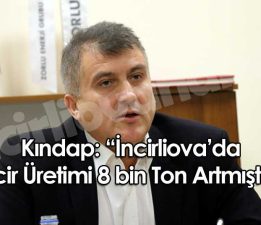 İncir Üretimi 8 bin Ton Artmıştır!”