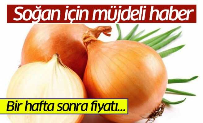 Acarlar Halinden Soğan Müjdesi!