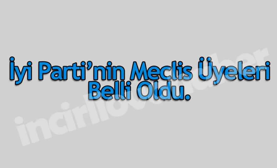 İyi Parti’nin Meclis Üyesi Adayları Belli Oldu