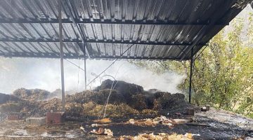 İncirliova’da 50 balya saman yandı