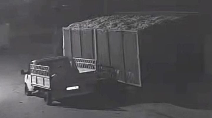 İncirliova’da 200 kilogram pamuk çalan 2 şüpheliden 1’i yakalandı